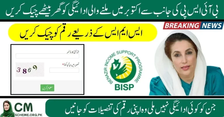 8171 Web Portal 2025 payment check online using CNIC, BISP 8171 Web Portal 2025 status update Pakistan, How to check BISP payment via 8171 Web Portal 2025, 8171 Web Portal 2025 CNIC verification guide, Latest BISP October payment on 8171 Web Portal 2025, Step by step BISP payment check through 8171 Web Portal 2025, 8171 web portal 2025