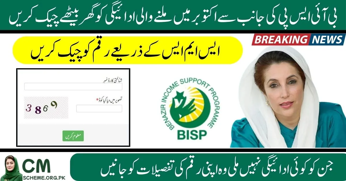 8171 Web Portal 2025 payment check online using CNIC, BISP 8171 Web Portal 2025 status update Pakistan, How to check BISP payment via 8171 Web Portal 2025, 8171 Web Portal 2025 CNIC verification guide, Latest BISP October payment on 8171 Web Portal 2025, Step by step BISP payment check through 8171 Web Portal 2025, 8171 web portal 2025