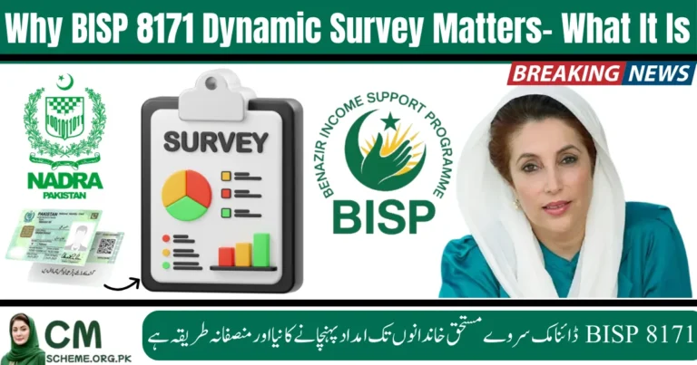 BISP 8171 Dynamic Survey Pakistan, BISP 8171 Dynamic Survey registration, BISP 8171 Dynamic Survey online check, BISP 8171 Dynamic Survey eligibility, BISP 8171 Dynamic Survey process, BISP 8171 Dynamic Survey 2025 update, BISP 8171 Dynamic Survey tehsil office, BISP 8171 Dynamic Survey payment status