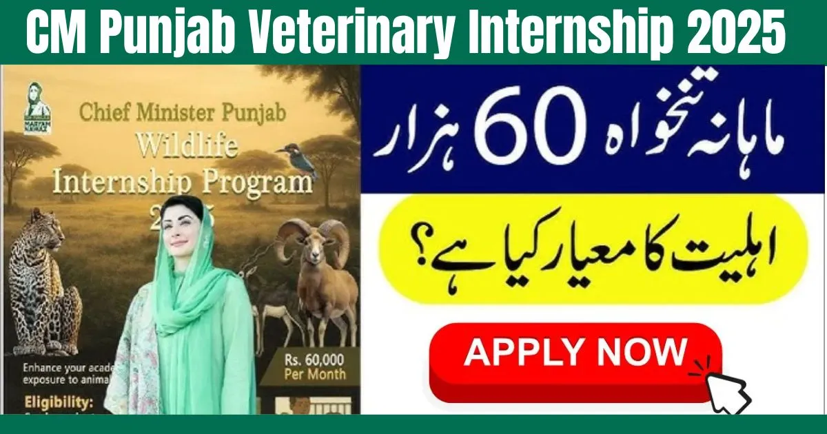 CM Punjab Veterinary Internship 2025 registration, Maryam Nawaz launching CM Punjab Veterinary Internship, Veterinary interns training livestock Punjab 2025, Apply online CM Punjab Veterinary Internship 2025,