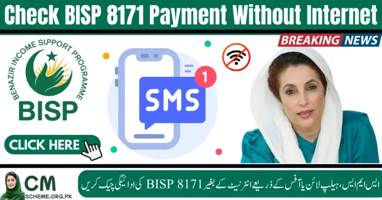 BISP 8171 payment offline check in Pakistan, How to check BISP 8171 payment without internet, BISP 8171 SMS payment verification, BISP payment status offline method, BISP 8171 helpline for payment check, Offline BISP 8171 payment verification Pakistan, BISP 8171 Tehsil office payment check, BISP 8171 payment support without internet, Check BISP 8171 payment via CNIC offline, BISP 8171 cash payment collection offline