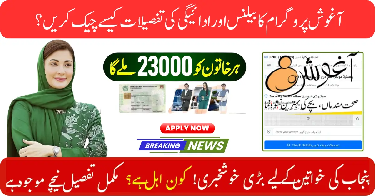 Aghosh Program Payment Check Online Punjab 2025, PSPA Aghosh Program portal CNIC login, PHCIP Aghosh Program registration for mothers, Aghosh Program Payment Status Dashboard 2025,