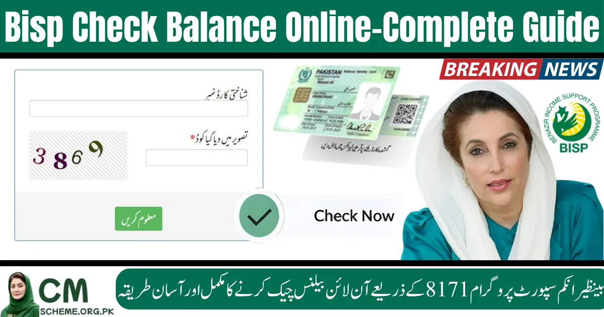 bisp check balance online, bisp 8171 balance check, check bisp payment online, bisp portal balance check 2025, benazir income support program online check, bisp cnic balance verification, bisp 8171 web portal pakistan