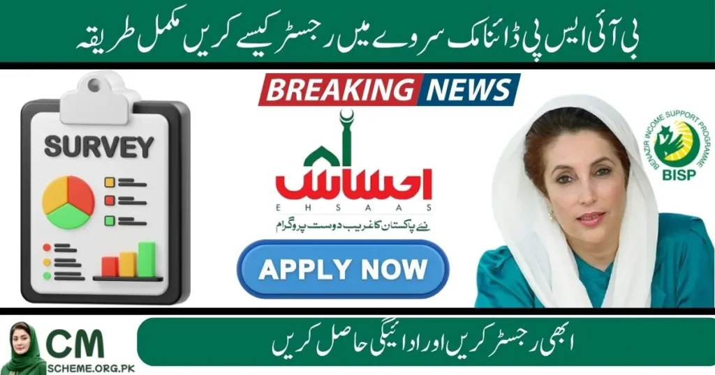 BISP Dynamic Survey Registration 2025 online check, BISP 8171 CNIC verification for 2025 survey, BISP new registration process Pakistan, How to apply for BISP Dynamic Survey 2025, BISP online form and eligibility check 2025, Benazir Income Support Program registration update 2025, BISP Dynamic Survey Registration 2025