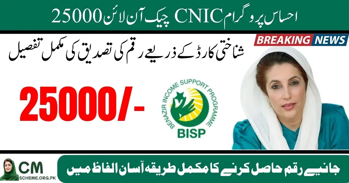 Ehsaas Program CNIC Check Online 25000 web portal 2025, 8171 BISP Ehsaas Program CNIC Check Online 25000 update, How to check Ehsaas Program CNIC Online 25000 eligibility, BISP 25000 payment Ehsaas Program CNIC Check Online 2025, CNIC verification on 8171 Ehsaas Program 25000 registration, Ehsaas Program CNIC Check Online 25000 through 8171 portal, ehsaas program cnic check online 25000