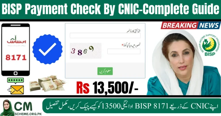 bisp payment check by cnic online, bisp 8171 payment check by cnic, check bisp payment status with cnic, bisp payment tracking by cnic number, 8171 bisp balance check by cnic, bisp cnic verification for payment, how to check bisp payment through cnic
