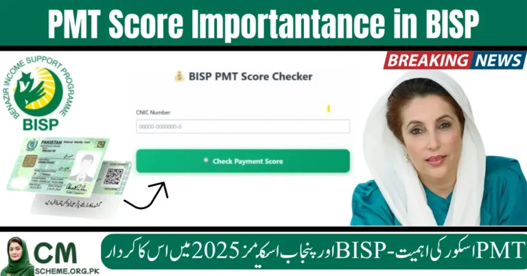 PMT Score in BISP, PMT Score Important in BISP, BISP 2025 eligibility, Punjab welfare schemes PMT, PMT Score Pakistan, BISP cash support 2025, Apni Chhat Apna Ghar PMT