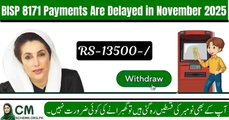 BISP 8171 payments are delayed in November 2025 update image, Beneficiaries checking BISP 8171 payments are delayed in November 2025, BISP 8171 payments are delayed in November 2025 due to verification checks, System issues causing BISP 8171 payments are delayed in November 2025,