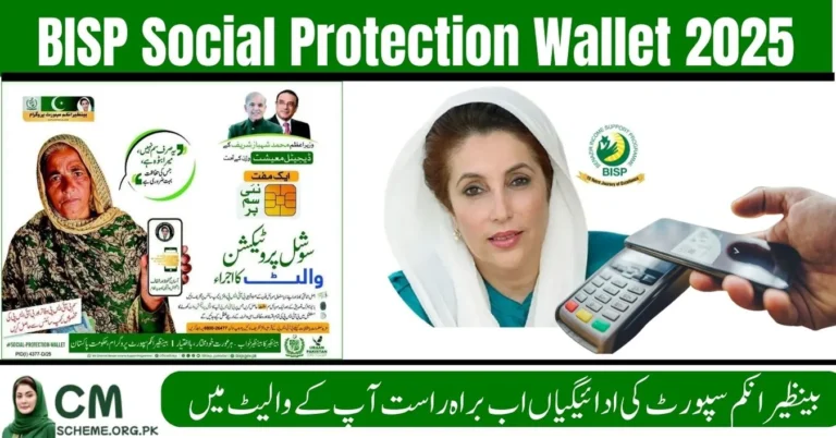 BISP Social Protection Wallet 2025 digital payment system explained, BISP Social Protection Wallet 2025 Ramazan payment update visual, Beneficiary using BISP Social Protection Wallet 2025 mobile app, BISP Social Protection Wallet 2025 secure and transparent payments,BISP Social Protection Wallet 2025