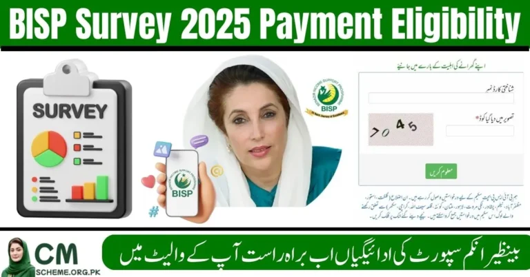 BISP Survey 2025 Payment Eligibility criteria guide, Verify BISP Survey 2025 Payment Eligibility easily, BISP Survey 2025 Payment Eligibility documents needed, BISP Survey 2025 Payment Eligibility update steps,
