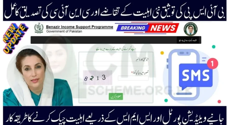 BISP CNIC verification 2025 online portal guide,BISP 2025 eligibility confirmation via 8171 SMS,