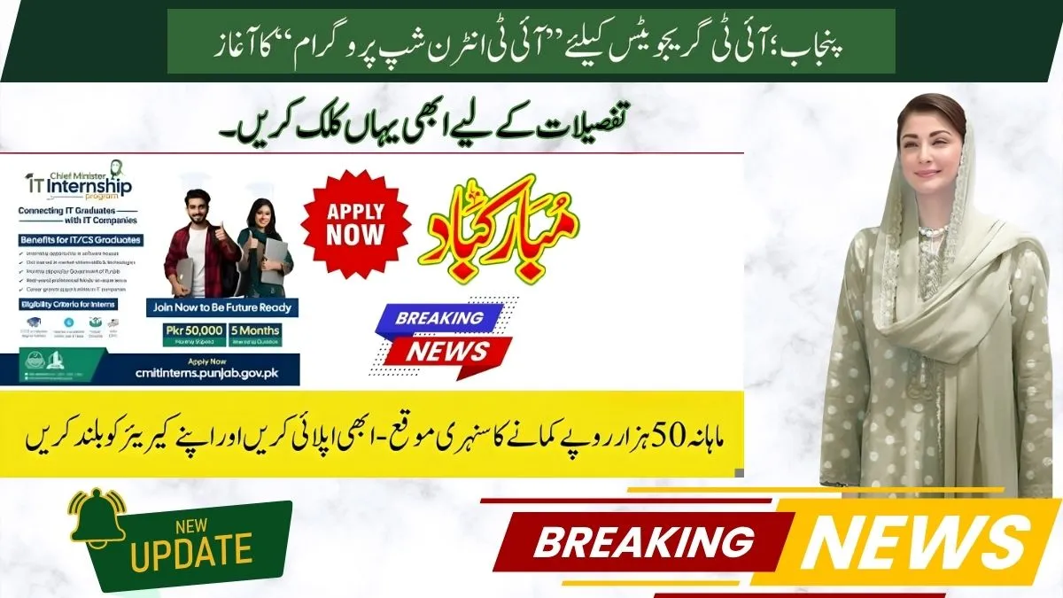 CM Punjab IT Internship Program 2025