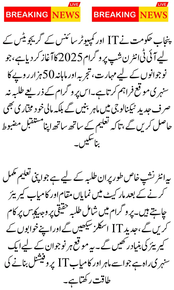 CM Punjab IT Internship Program 2025