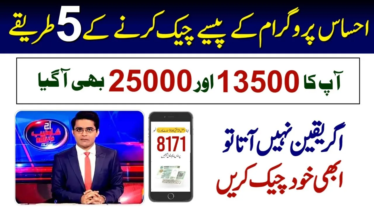 ehsaas program ke paise check karne ka tarika online, ehsaas 8171 web portal Pakistan, BISP payment check 2025, CNIC se ehsaas paisay verify karne ka tarika,