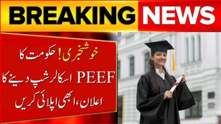 PEEF Scholarship 2025 application process in Punjab, Students applying for PEEF Scholarship 2025 form submission, Eligibility and benefits of PEEF Scholarship 2025 in Pakistan, Punjab students receiving PEEF Scholarship 2025 financial aid,