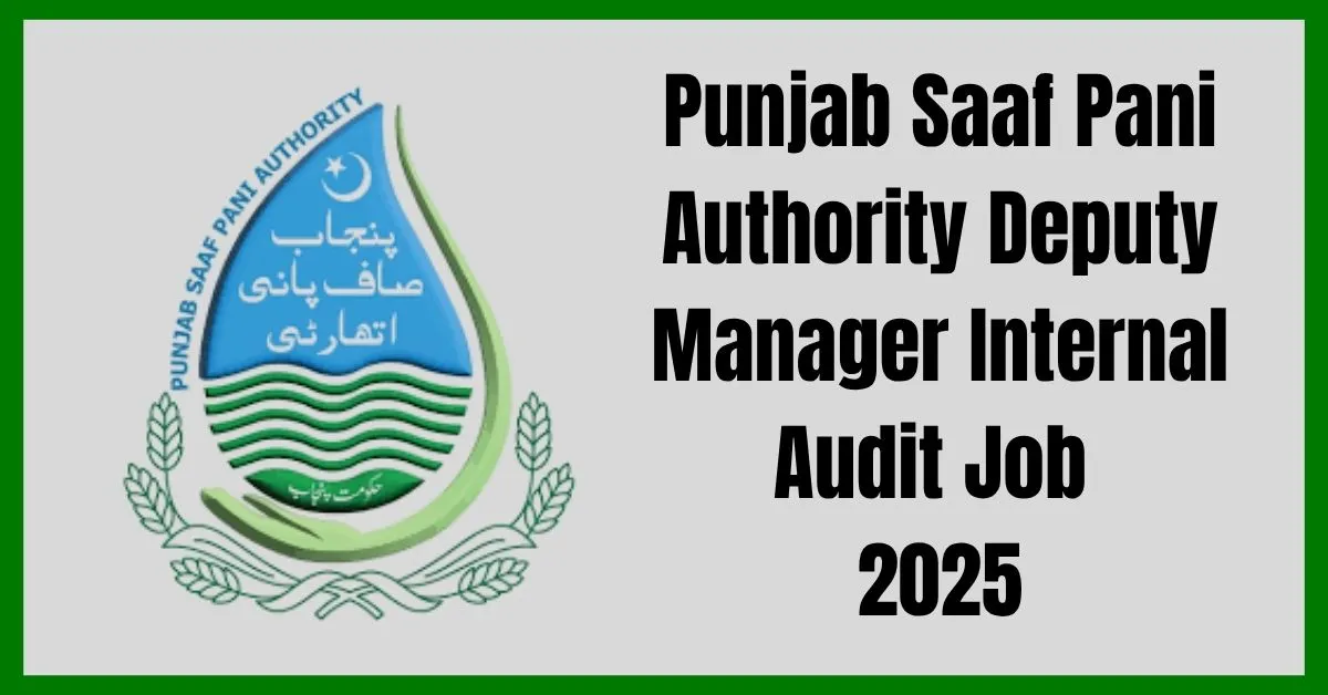 Punjab Saaf Pani Authority Deputy Manager Internal Audit jobs 2025, PSPA Deputy Manager Internal Audit government vacancies, Apply online Punjab Saaf Pani Authority jobs 2025, PSPA career opportunities Deputy Manager Internal Audit,