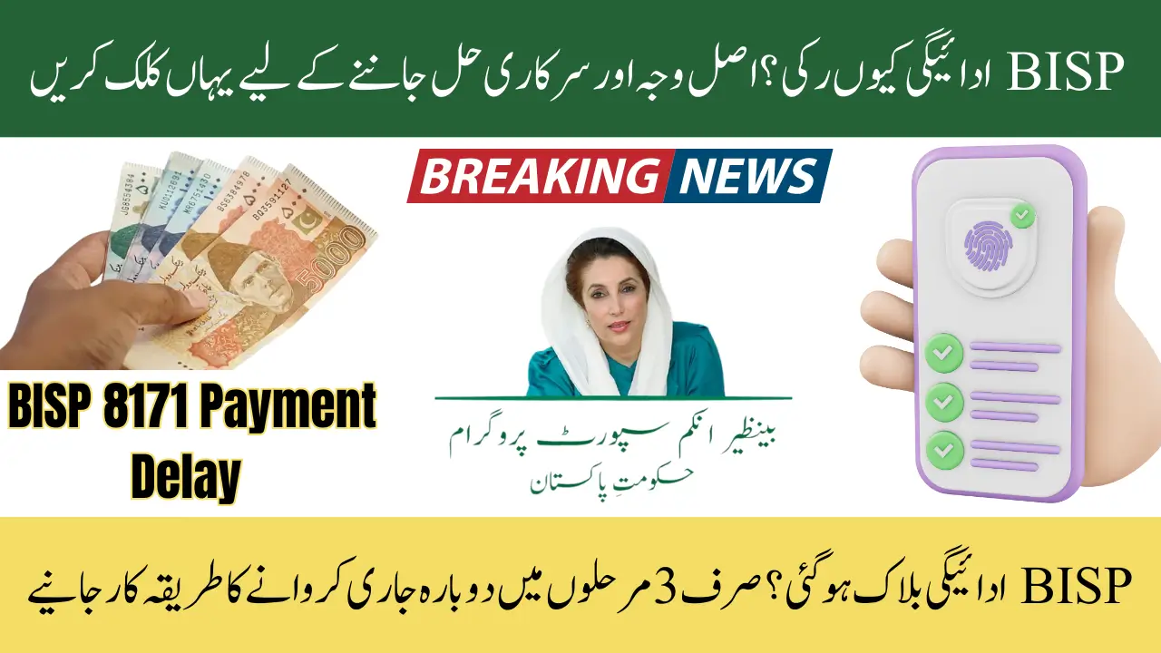 BISP 8171 Payment Delay 025