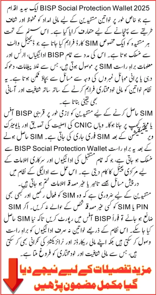 BISP Social Protection Wallet 2025 details