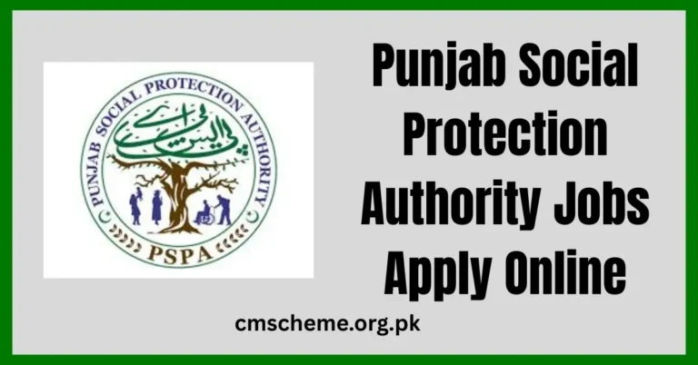 Punjab Social Protection Authority jobs 2025 latest update, PSPA new job vacancies and application process details, Punjab Social Protection Authority recruitment information, PSPA jobs eligibility and benefits for applicants,